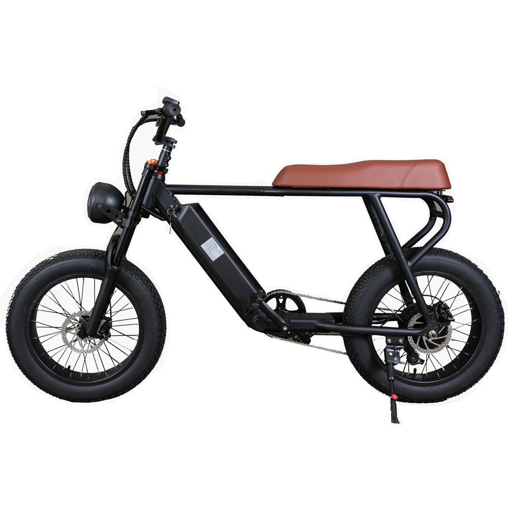 20FG Adult Mountain Bike 20 Inch 500W Electric Bike 48V 15Ah Lithium Battery (ang.)