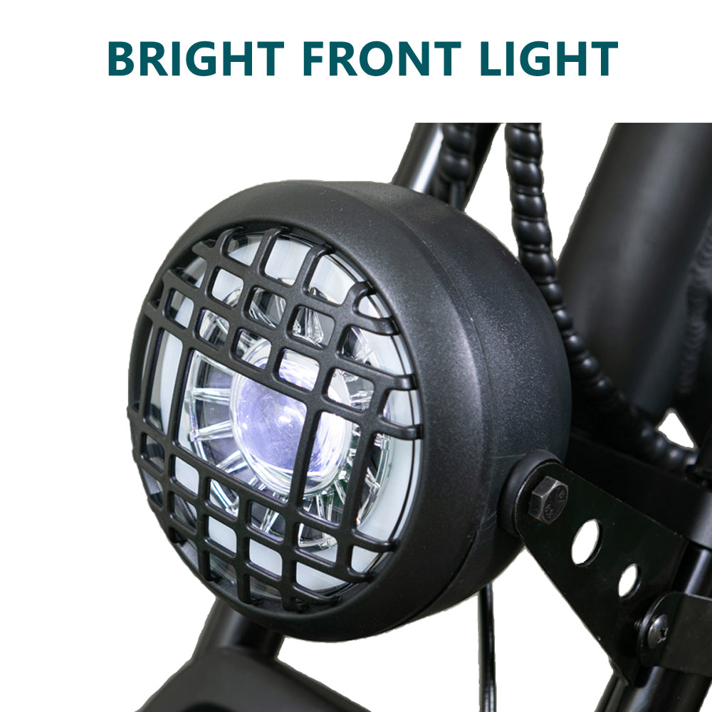 20FG Adult Mountain Bike 20 Inch 500W Electric Bike 48V 15Ah Lithium Battery (ang.)