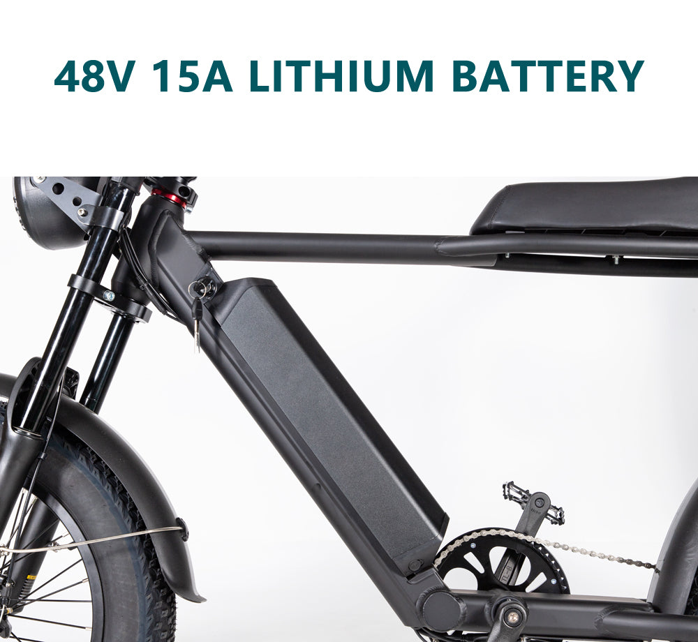 20FG Adult Mountain Bike 20 Inch 500W Electric Bike 48V 15Ah Lithium Battery (ang.)