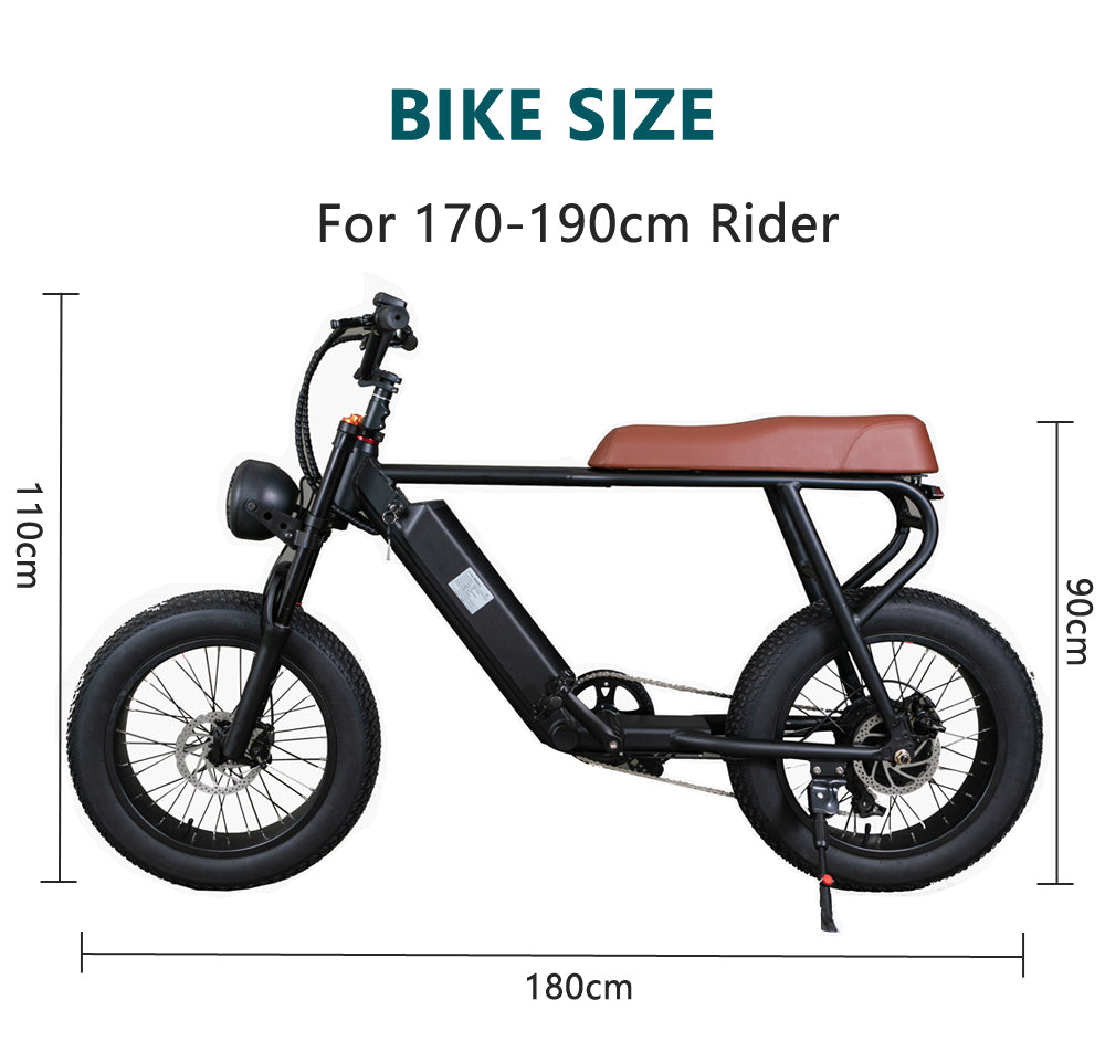20FG Adult Mountain Bike 20 Inch 500W Electric Bike 48V 15Ah Lithium Battery (ang.)