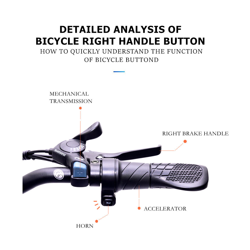 GW20 Enhanced Edition 1000W Motor 20 Inch Electric Folding Bike, 48V 20Ah Lithium Battery (ang.)