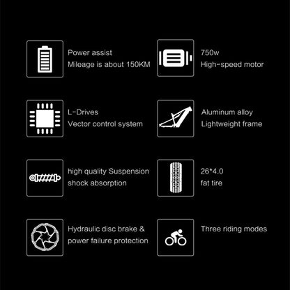 Lankeleisi RV800 PLUS 48V 15Ah Bicicletă electrică la modă 26 inci Sistem de transmisie cu 7 viteze Până la 52 km/h Frână hidraulică pe disc față și spate