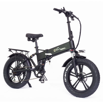 RX20 750W Bicicleta eléctrica plegable 20 * 4.0 Fat Tire Mountain Bike 48V E-bike Suspensión completa