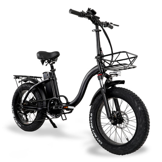 Y20 750W Folding Electric Bike, 20 Inch 4.0 Fat Tire Mountain Bike, 48V 15A/17A Lithium Battery, Speed Up to 45km/h