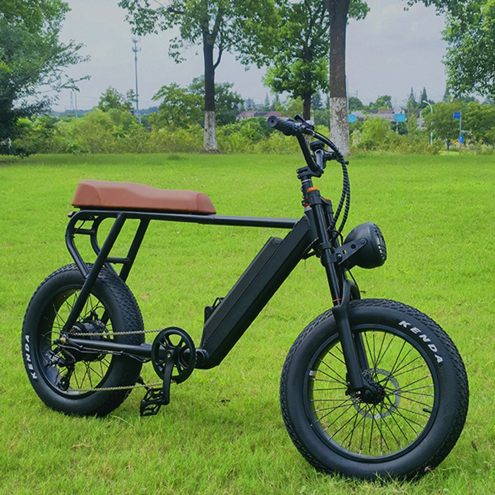 20FG Adult Mountain Bike 20 Inch 500W Electric Bike 48V 15Ah Lithium Battery Air Suspension Front Fork Speed up to 45km/h