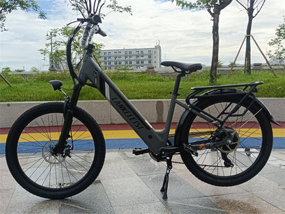 ES500 Pro 500W 48V 16Ah 130Km Uthållighet 24 tum Borstlös Motor Urban Electric Bike Dual Disc Brakes 32km/h Max Speed City Bik